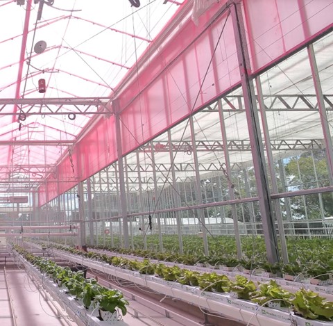 School Excursions for Textiles, Design and Technology students